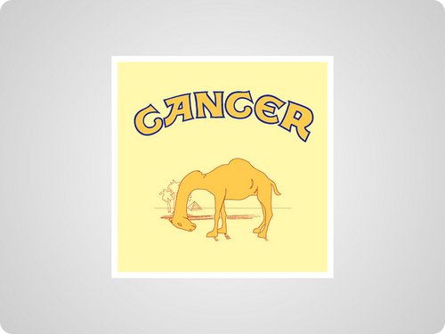 camel