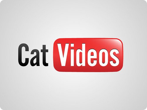 catvideo