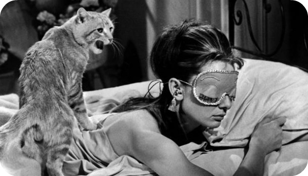 Top 10 des chats les plus célèbres du cinéma chat 1 Top 10 des chats les plus célèbres du cinéma