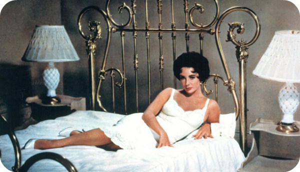Top 10 des chats les plus célèbres du cinéma chat 10 Top 10 des chats les plus célèbres du cinéma