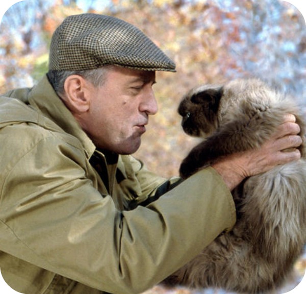 Top 10 des chats les plus célèbres du cinéma chat 3 Top 10 des chats les plus célèbres du cinéma
