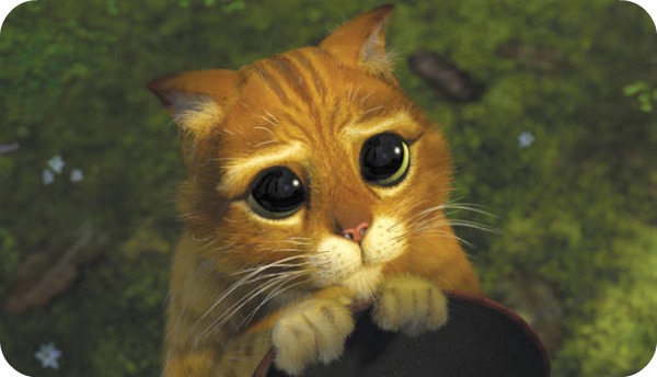 Top 10 des chats les plus célèbres du cinéma chat 5 Top 10 des chats les plus célèbres du cinéma