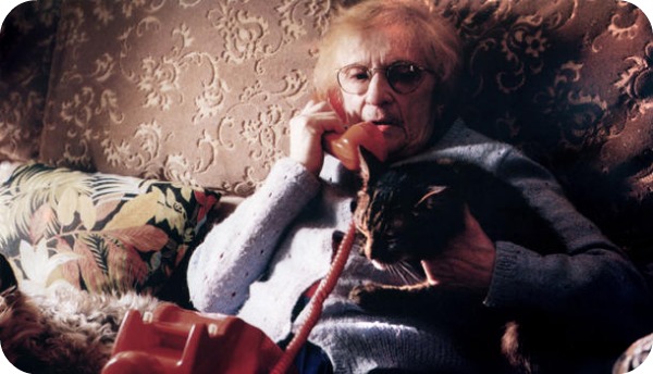 Top 10 des chats les plus célèbres du cinéma chat 6 Top 10 des chats les plus célèbres du cinéma