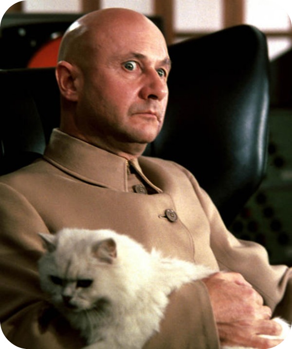 Top 10 des chats les plus célèbres du cinéma chat 8 Top 10 des chats les plus célèbres du cinéma