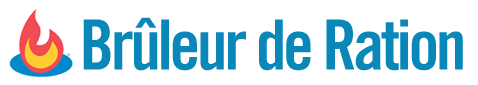 bruleur Top 9 des logos du web 2.0 version québecoise