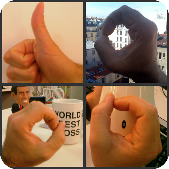 collagemainarrondi collagemainarrondi