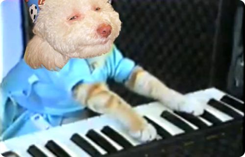 stoned dog 004 Top 10 des parodies du Stoned Birthday Dog