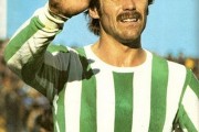 1978vert