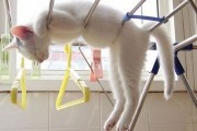 chat_relax_000