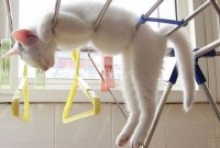 chat_relax_000