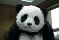 panda