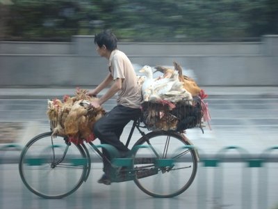 22 2212 Top 50 des photos de scènes délirantes en Chine
