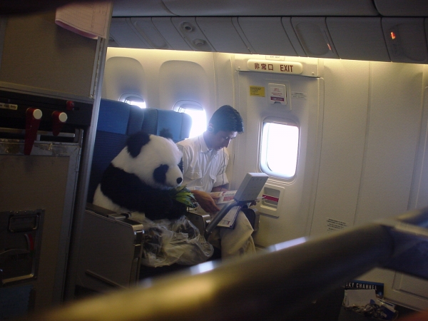  Top 10 des choses à ne pas faire en avion, cest mieux