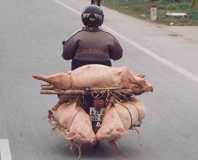 48 481 Top 50 des photos de scènes délirantes en Chine
