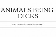 animal