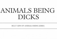 animal