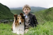 lassie