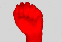 fist