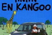 tintin kangoo