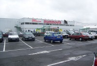 mammouth