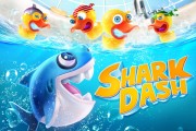 shark-dash