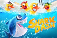 shark-dash
