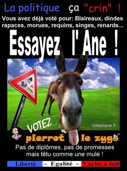 ane