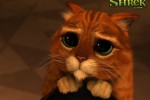 chatpotte