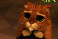 chatpotte