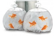 sac-poubelle-poisson