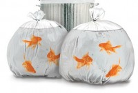 sac-poubelle-poisson