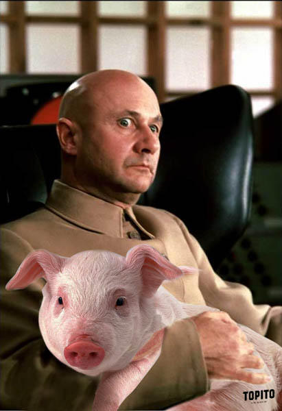 cochon