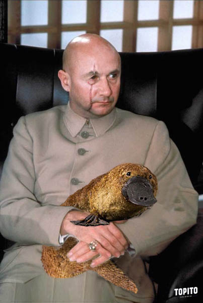 ornithorinque