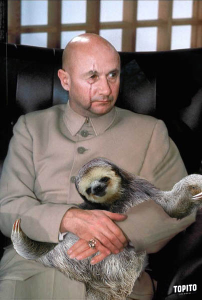 paresseux