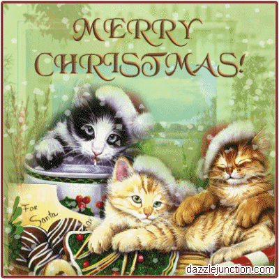 3-christmas-cats