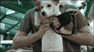 anigif_enhanced-buzz-29860-1355938342-16
