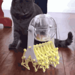 anigif_enhanced-buzz-6068-1355938337-9