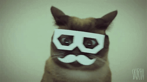 anigif_enhanced-buzz-8195-1355941233-2