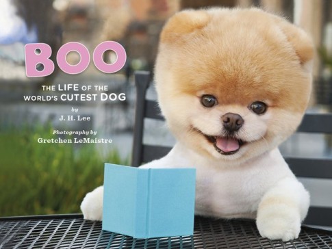 boo