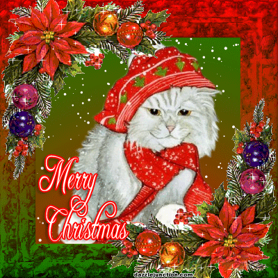 cute-christmas-cat