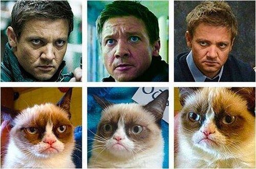 grumpy