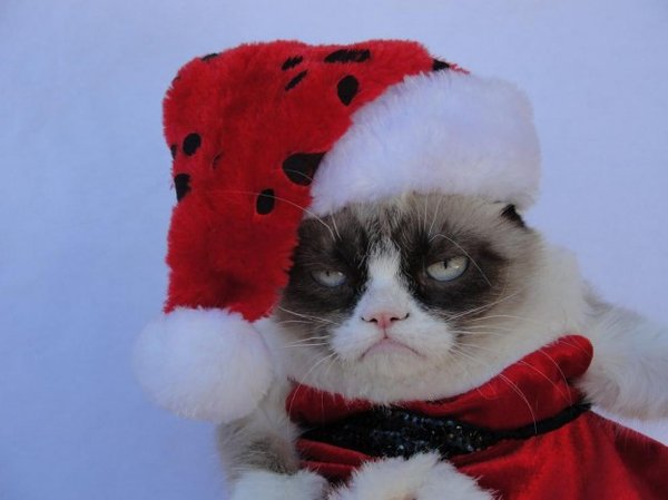 grumpy3
