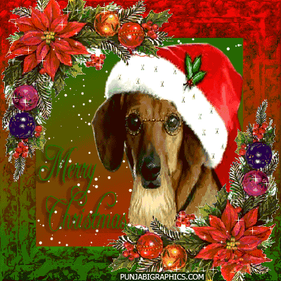 noel10