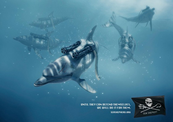seashepherd01