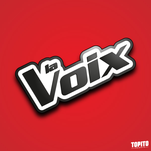 vectos-logosTV-en-fr-15