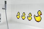 canards