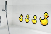 canards