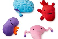 Organes peluche