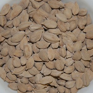 600px-Cardamom
