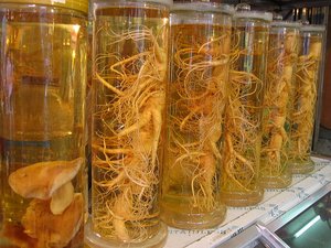800px-Ginseng